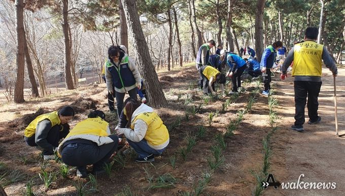 정왕3동, 손길마다 꽃피는 ‘다정한 마을 공동체’ 가꾸기 앞장