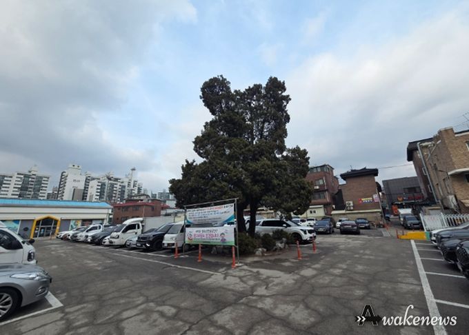 진건읍 용정리 781-2번지 일대 주차 타워 조성 예정 부지