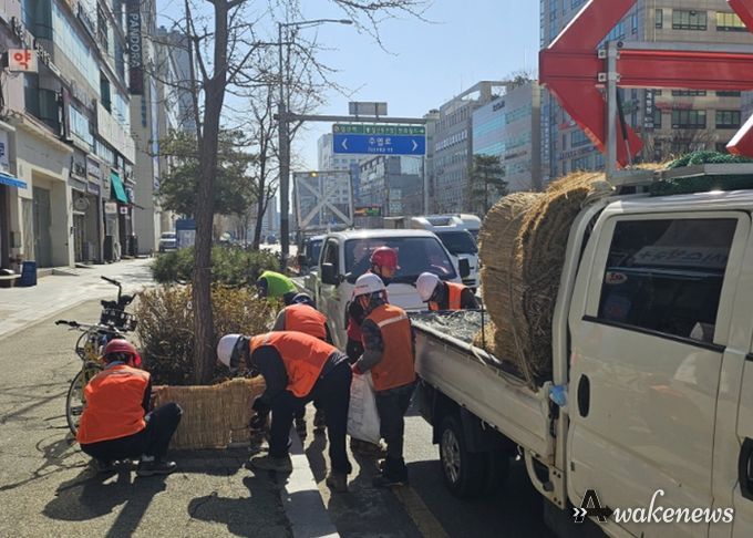 고양시 일산서구, 봄맞이 가로화단 월동시설 철거 완료