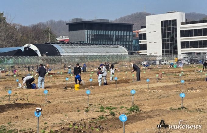 광명시 하안동 밤일마을에 자리한 시민주말농장에서 시민들이 땅을 가꾸고 있다.