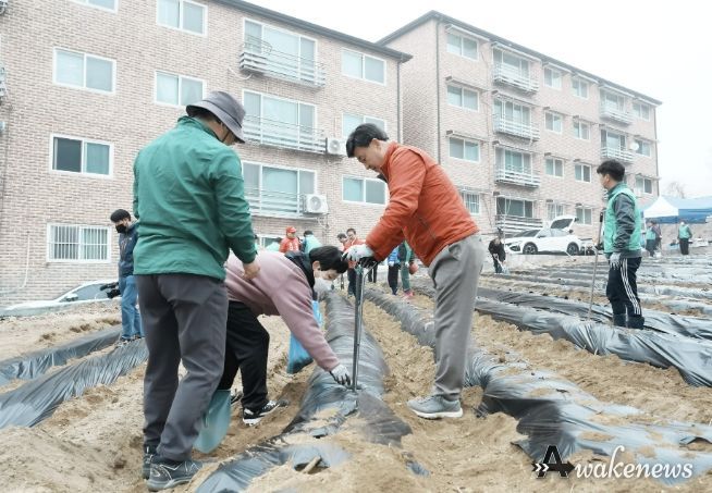 광주시 탄벌동 남녀새마을회, 사랑의 감자 심기 추진
