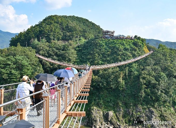 한탄강 Y자출렁다리