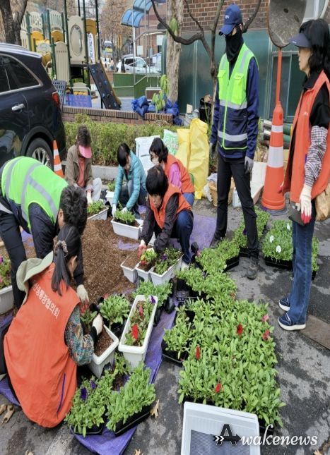 고양시 풍산동, 봄맞이 초화 식재