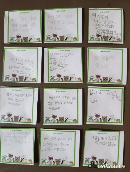 다솜초등학교 학생들이 남긴 교육 후기
